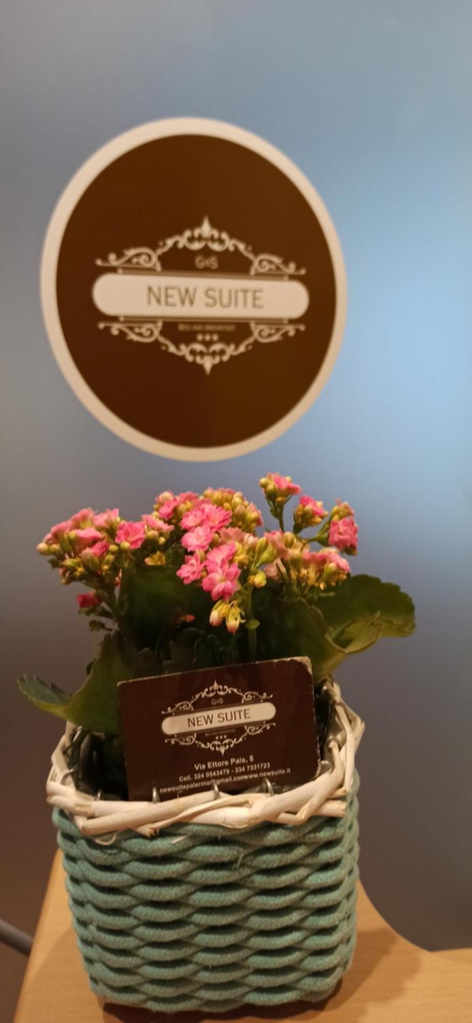 New Suite Palermo Exteriör bild